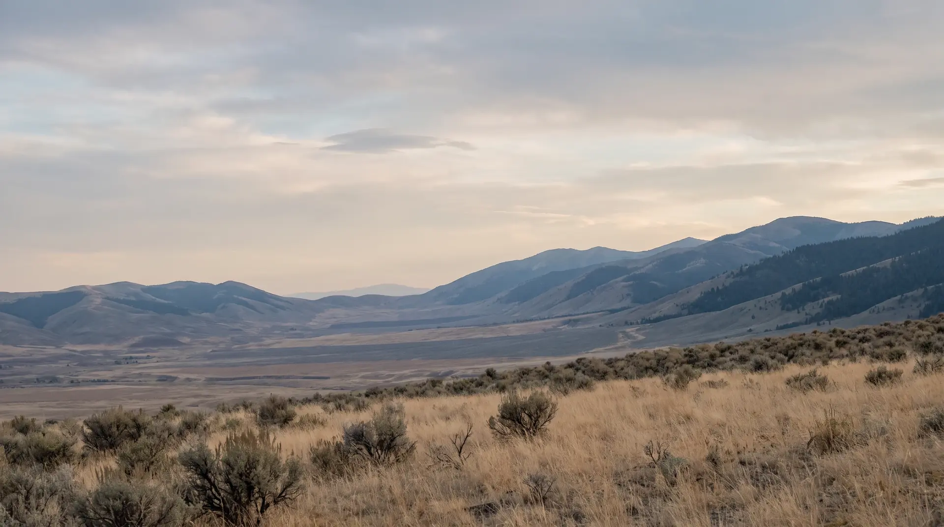 Generic broad valley and foothills in an Eastern Idaho-style landscape